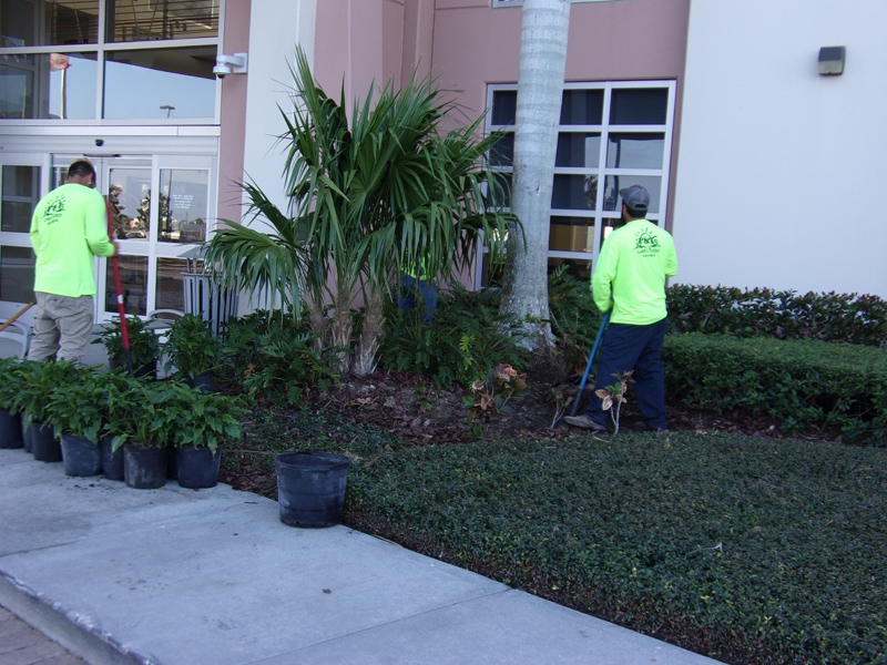 P & T Landscaping adding plants in front of the Lee County Port Authority