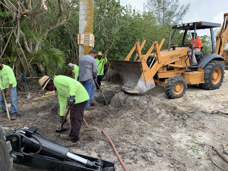 P&T Landscape Team digging up dirt around a palm tree